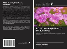 Couverture de ROSA (Rosa hybrida L.) cv. KARDINA