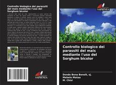 Controllo biologico dei parassiti del mais mediante l'uso del Sorghum bicolor kitap kapağı