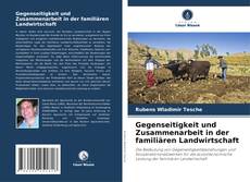 Gegenseitigkeit und Zusammenarbeit in der familiären Landwirtschaft kitap kapağı