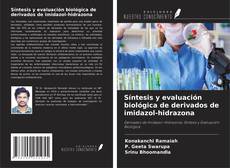 Portada del libro de Síntesis y evaluación biológica de derivados de imidazol-hidrazona