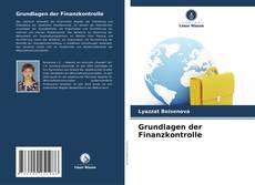 Обложка Grundlagen der Finanzkontrolle