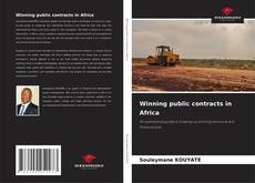 Winning public contracts in Africa的封面