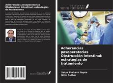 Adherencias posoperatorias Obstrucción intestinal: estrategias de tratamiento的封面