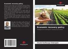 Buchcover von Economic recovery policy
