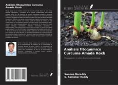 Обложка Análisis fitoquímico Curcuma Amada Roxb