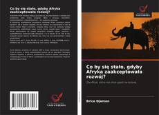 Co by się stało, gdyby Afryka zaakceptowała rozwój?的封面