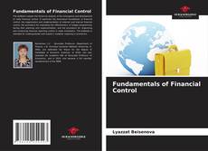 Buchcover von Fundamentals of Financial Control