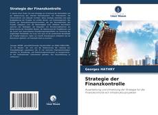 Copertina di Strategie der Finanzkontrolle