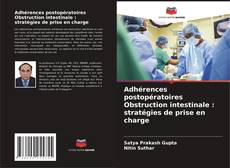 Copertina di Adhérences postopératoires Obstruction intestinale : stratégies de prise en charge