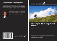 Psicología de la seguridad penal的封面