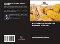 Résistance du maïs aux insectes nuisibles kitap kapağı