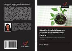 Обложка Określenie ścieżki rozwoju przywództwa młodzieży w Egipcie