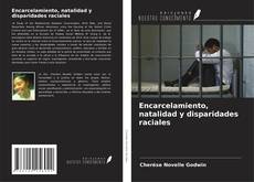 Encarcelamiento, natalidad y disparidades raciales的封面