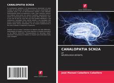 Buchcover von CANALOPATIA SCN2A