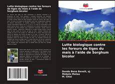 Borítókép a  Lutte biologique contre les foreurs de tiges du maïs à l'aide de Sorghum bicolor - hoz