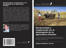 Reciprocidad y cooperación en el desempeño de la agricultura familiar的封面