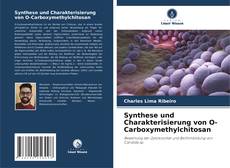Copertina di Synthese und Charakterisierung von O-Carboxymethylchitosan