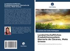 Copertina di Landwirtschaftliches Produktionssystem: Morraria de Cáceres, Mato Grosso