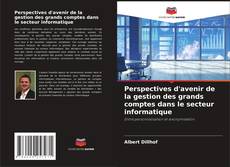 Bookcover of Perspectives d'avenir de la gestion des grands comptes dans le secteur informatique