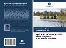 Portada del libro de Hydraulik offener Kanäle: Neue Wege und alternative Ansätze