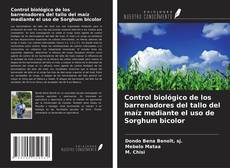 Buchcover von Control biológico de los barrenadores del tallo del maíz mediante el uso de Sorghum bicolor