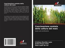 Concimazione azotata della coltura del mais kitap kapağı