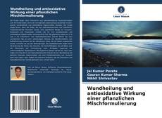 Обложка Wundheilung und antioxidative Wirkung einer pflanzlichen Mischformulierung