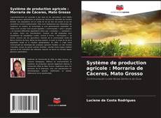 Bookcover of Système de production agricole : Morraria de Cáceres, Mato Grosso