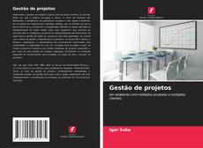 Buchcover von Gestão de projetos