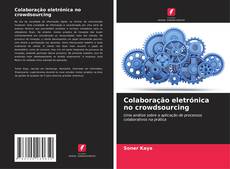Buchcover von Colaboração eletrónica no crowdsourcing