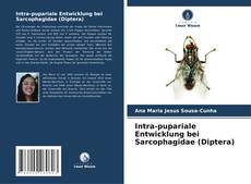 Intra-pupariale Entwicklung bei Sarcophagidae (Diptera) kitap kapağı