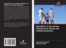 Identifica il tuo stress Superare lo stress nel mondo dinamico的封面