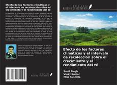 Buchcover von Efecto de los factores climáticos y el intervalo de recolección sobre el crecimiento y el rendimiento del té