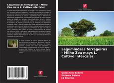 Couverture de Leguminosas forrageiras - Milho Zea mays L. Cultivo intercalar
