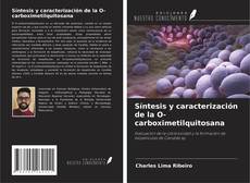 Copertina di Síntesis y caracterización de la O-carboximetilquitosana