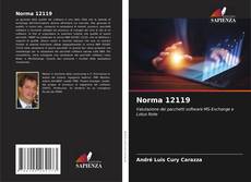 Norma 12119的封面