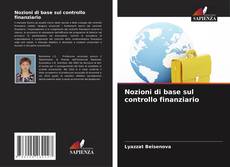 Nozioni di base sul controllo finanziario kitap kapağı