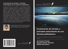 Cicatrización de heridas y actividad antioxidante de una fórmula polibotánica的封面