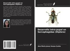 Desarrollo intra-pupal en Sarcophagidae (Diptera)的封面