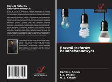 Buchcover von Rozwój fosforów halofosforanowych