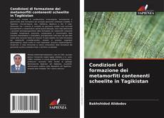 Bookcover of Condizioni di formazione dei metamorfiti contenenti scheelite in Tagikistan