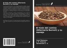 El tizón del comino (Alternaria Burnsii) y su manejo的封面