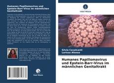 Copertina di Humanes Papillomavirus und Epstein-Barr-Virus im männlichen Genitaltrakt