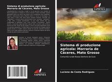 Couverture de Sistema di produzione agricola: Morraria de Cáceres, Mato Grosso