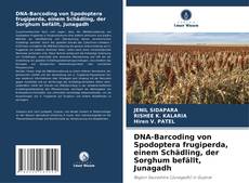 Copertina di DNA-Barcoding von Spodoptera frugiperda, einem Schädling, der Sorghum befällt, Junagadh