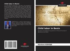 Bookcover of Child labor in Benin