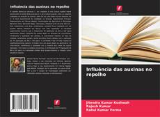 Borítókép a  Influência das auxinas no repolho - hoz