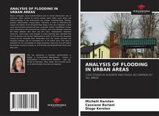Buchcover von ANALYSIS OF FLOODING IN URBAN AREAS