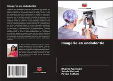 Imagerie en endodontie kitap kapağı