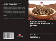 Brûlure du cumin (Alternaria Burnsii) et sa gestion kitap kapağı